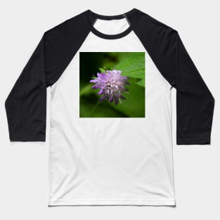 Violet Mountain Flower - Globularia nudicaulis L Baseball T-Shirt